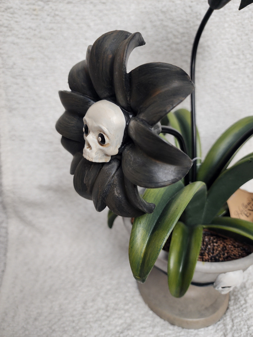 HALLOWEEN Black Skull Flower Decorative Planter Accent - Picture 3 of 6